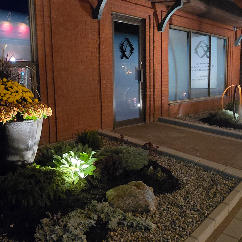 Front entrance landscaping - night lighting